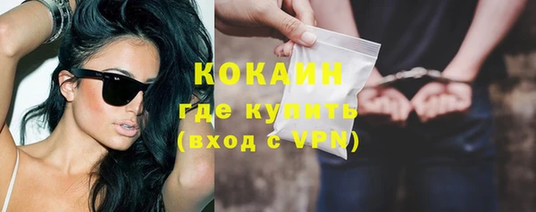 молекула духа Покров