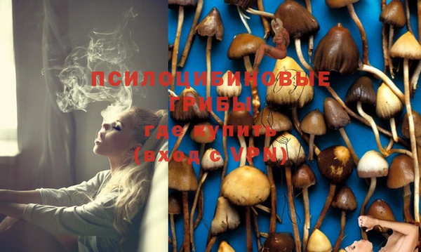 mix Абинск